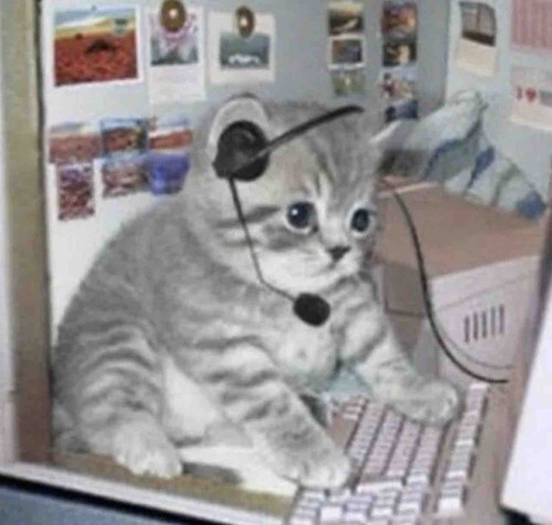 E0B7F08E D697 4B4B 925E ED85F82DB1B8.jpg