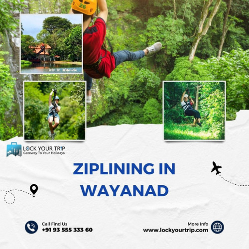 ziplining in wayanad.jpg