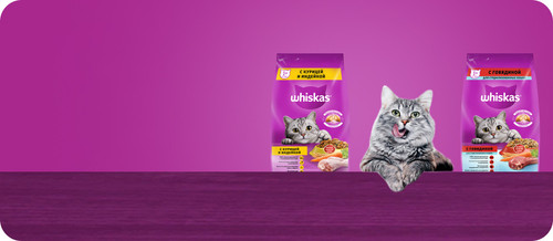 Whiskas (1).jpg