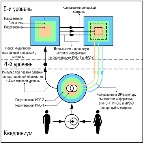 1.б min.png