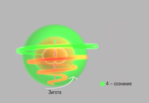 6.е min.png