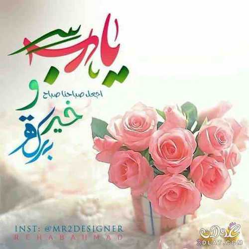 BD180ADF 29D2 43E1 922D B09C33B92BF9.jpg