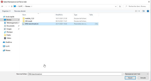 DNS Benchmark trouver DNS add remove df4ref.jpg