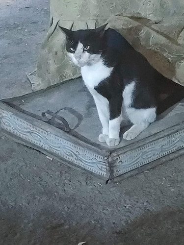 FB IMG 1695480028314.jpg