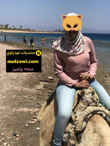 IMG 20200824 081414 7122023 09 21 23 50 21