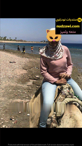 Photo 15921733864572023 09 21 23 50 14