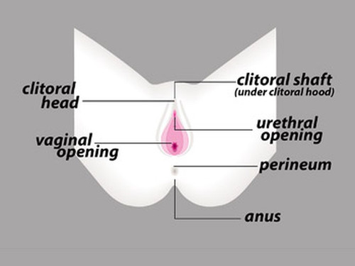 image resizer.jpg