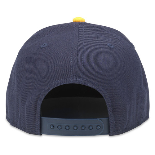 42412A NAP NVGD 3.jpg