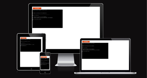 Responsiveness (ami).jpg