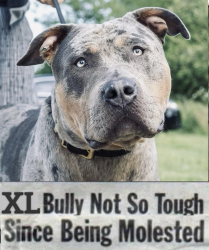 1695653454.7596931 BF12F8A9 CB73 4015 B7B2 5DA7D630B0D8.jpg