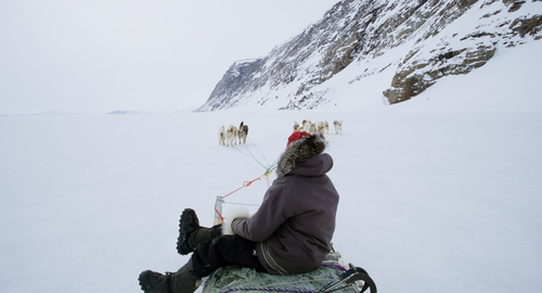 北极奇观.Wonders.of.the.Arctic.2014.UHD.Atmos.TrueHD.7.1.x265.10bit.MiniUHD TLF.mkv.scr2.png