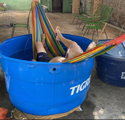 5acd430e f3bb 408f ae70 28f2c8f13309.jpg