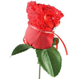 259331 1600 1600?v=1779655469&amp;width=1600&amp;height=1600&amp;aspect=true