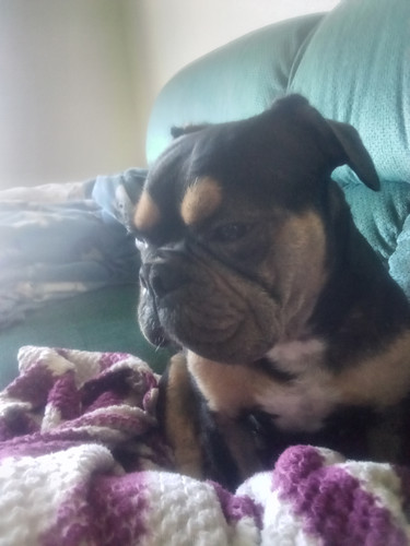 IMG 20230925 103625.jpg