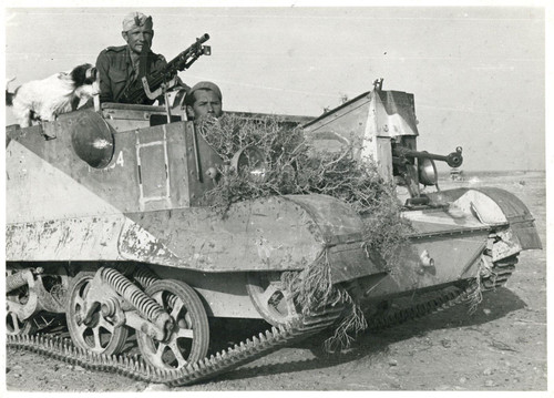 208595258 336165777891101 2990563253507307761 n.jpg