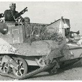 208595258 336165777891101 2990563253507307761 n