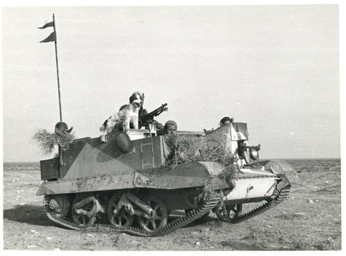 208995594 343826103941676 1726888374292040376 n.jpg