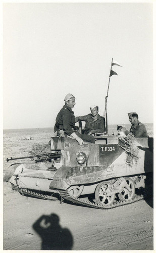 208425653 340409007657149 3368072250338164094 n.jpg