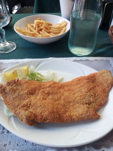 IMG 20230914 131149.jpg