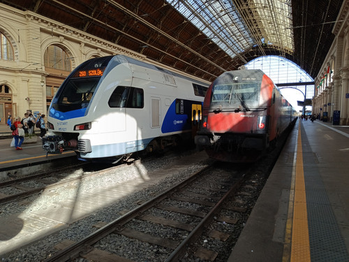 IMG 20230925 150556 899.jpg