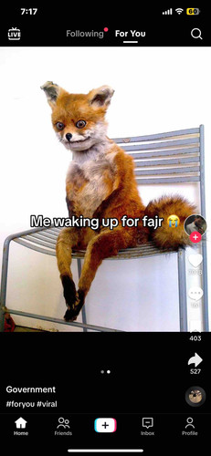 72DA733D 1D0B 4F40 B30E 142F072A587A.jpg