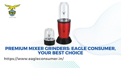 Top Mixer Grinder Manufacturer - Eagle Consumer.jpg