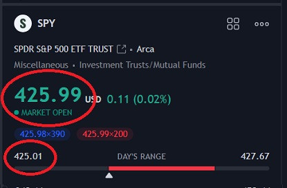 tsla 8223.jpg