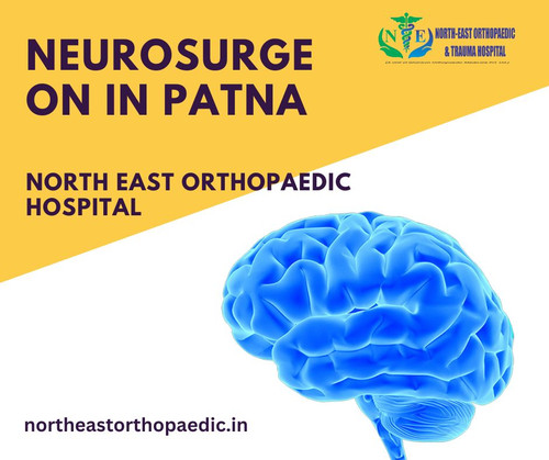 Neurosurgeon in Patna: North East Orthopaedic Hospital.jpg