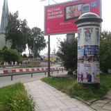 Gy31
