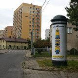 Gy26
