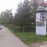 Gy16,