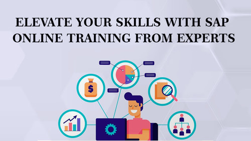 Elevate Your Skills with SAP Online Training from Experts.jpg