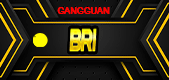 BRI GANGGUAN.gif