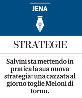 salv.jpg