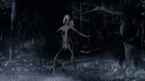 tumblr 9af0824b9bec764957e0eb8f42bfebc3 0d3f40d5 540.gif