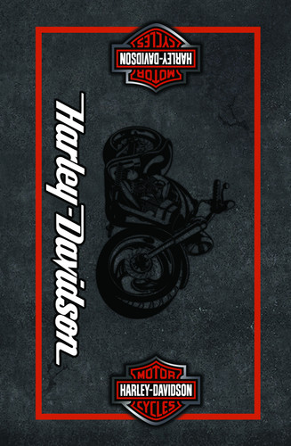 LENFUL Rug template design copy.jpg