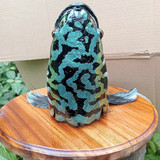 381523941 2521617318023299 890777274113222905 n