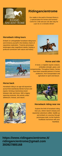 riding horse.jpg
