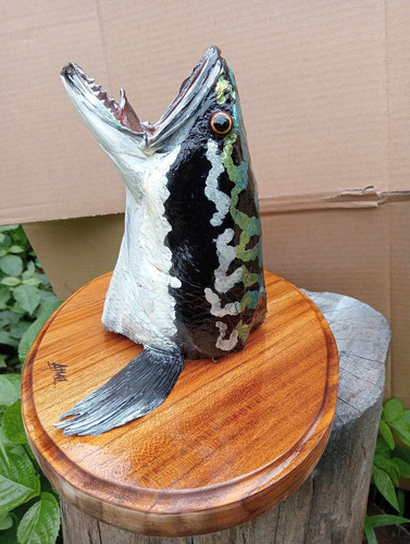 381606099 2521617234689974 423781459877562491 n.jpg