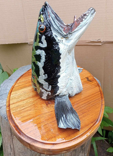 382199810 2521617271356637 807622229739918636 n.jpg