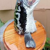 382199810 2521617271356637 807622229739918636 n