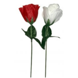 217100 1600 1600?v=1778208774&amp;width=1600&amp;height=1600&amp;aspect=true