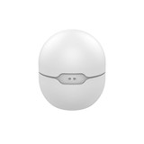 240991 1600 1600?v=1779634796&amp;width=1600&amp;height=1600&amp;aspect=true