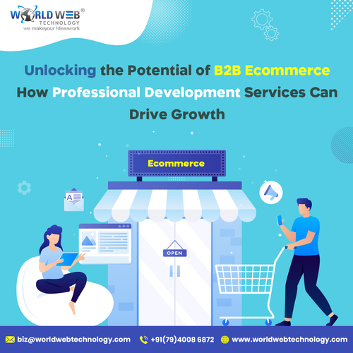 Unlocking the Potential of B2B Ecommerce How Professional Development Services Can Drive Growth.png