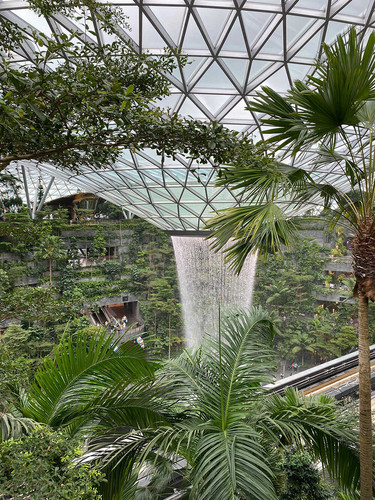 changi1 optimized.jpg