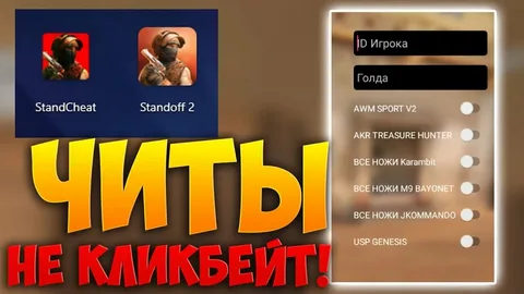 3.webp