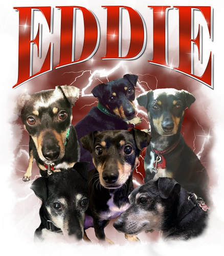 Eddie.png