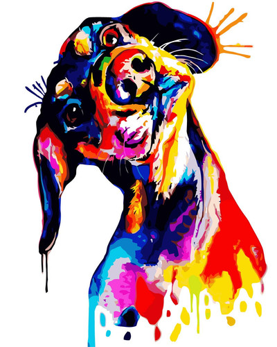 Dog 1.jpg