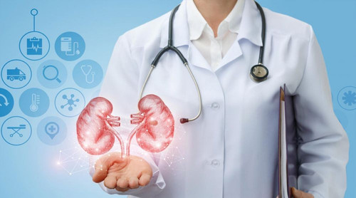 urology.jpg