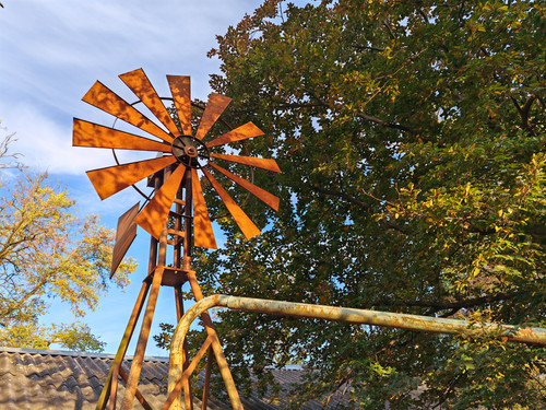 IMG 20231023 165825.jpg